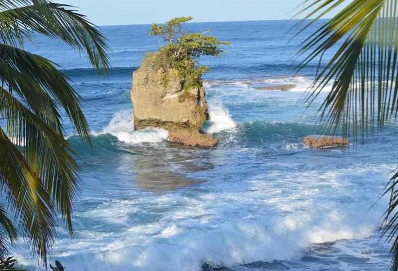 پانسیون Finca Valeria Treehouses Glamping