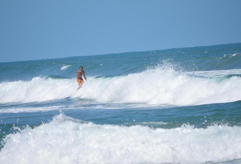 پانسیون Finca Valeria Treehouses Glamping