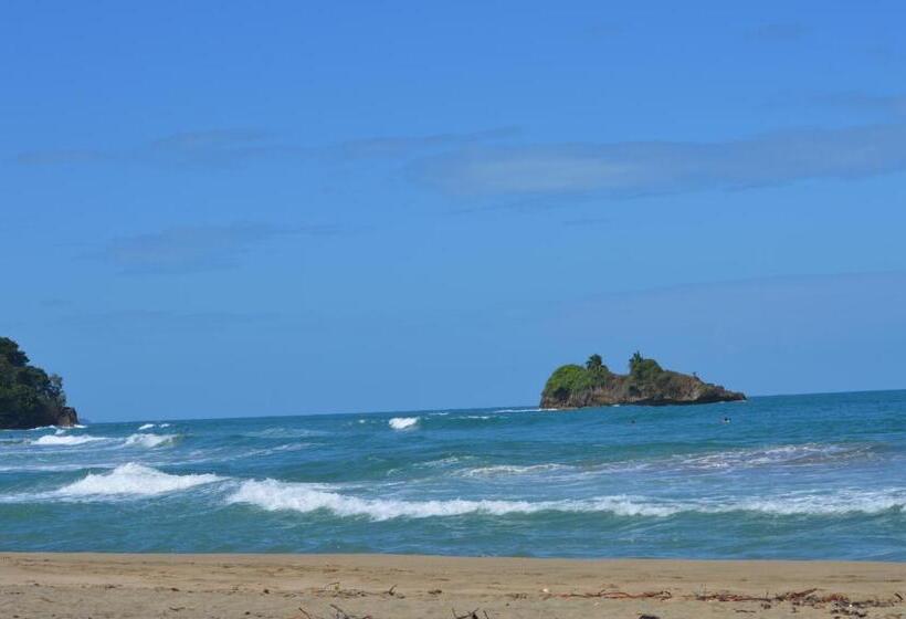 پانسیون Finca Valeria Treehouses Glamping