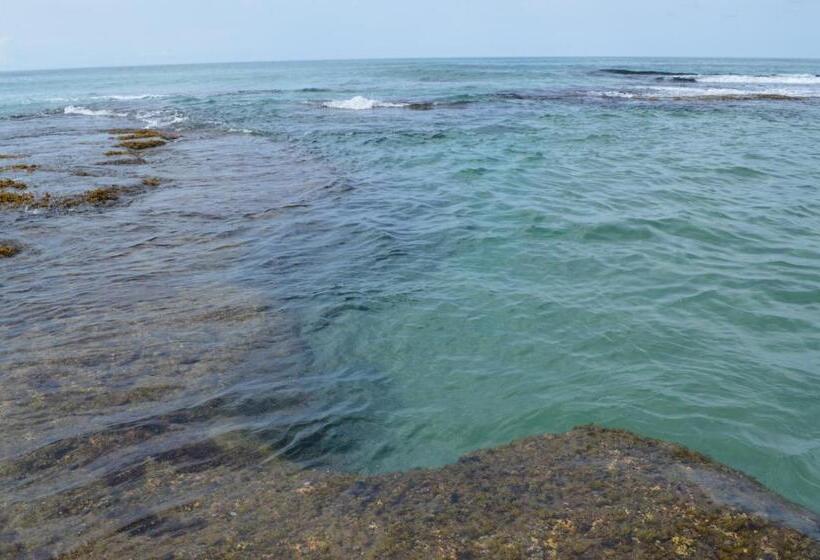 پانسیون Finca Valeria Treehouses Glamping