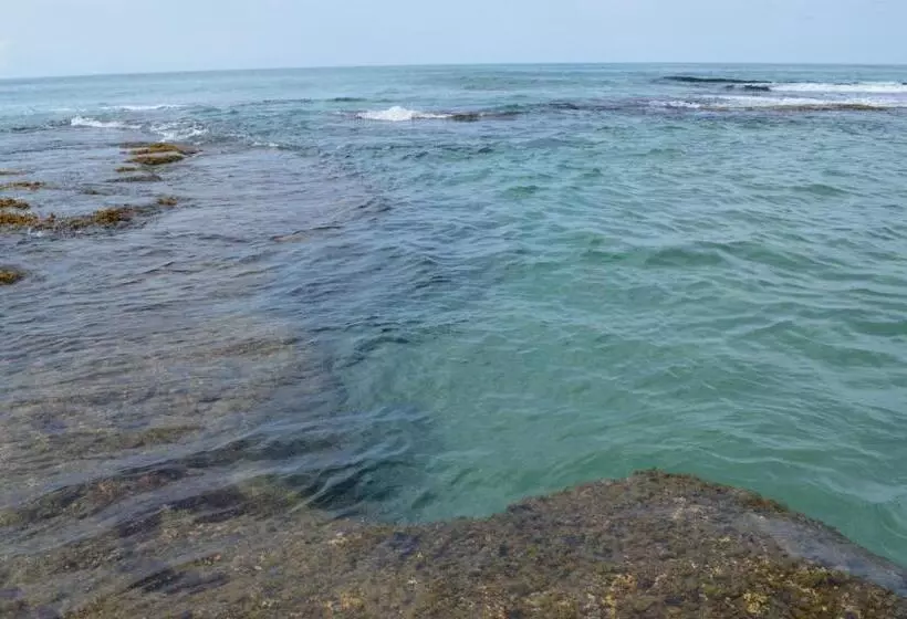 Majatalo Finca Valeria Treehouses Glamping