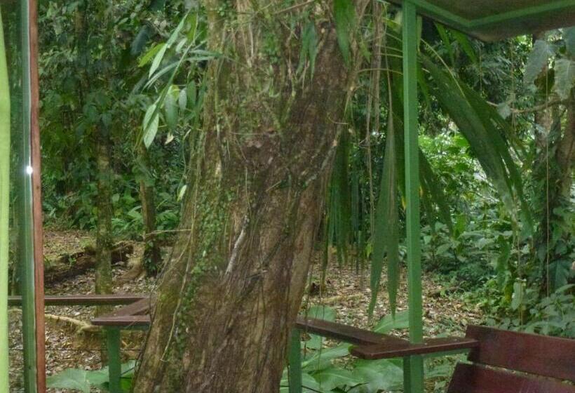 پانسیون Finca Valeria Treehouses Glamping