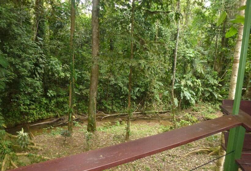 پانسیون Finca Valeria Treehouses Glamping