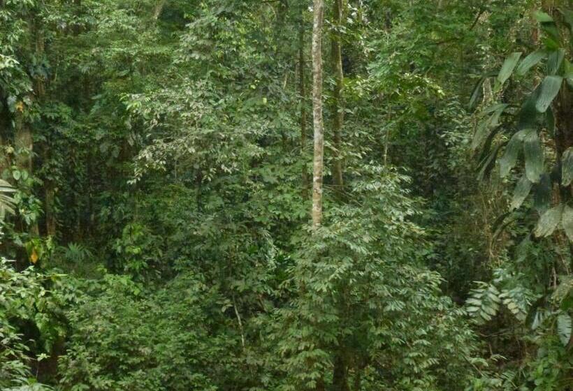 پانسیون Finca Valeria Treehouses Glamping