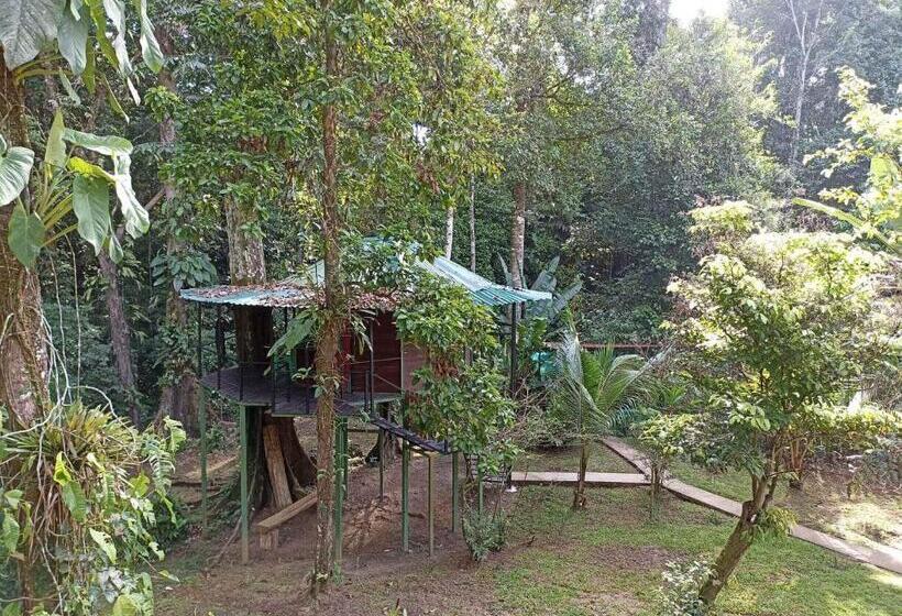 پانسیون Finca Valeria Treehouses Glamping