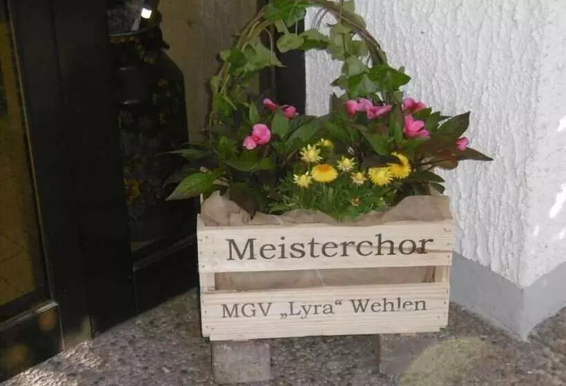 Majatalo Haus Hochwaldhöhe