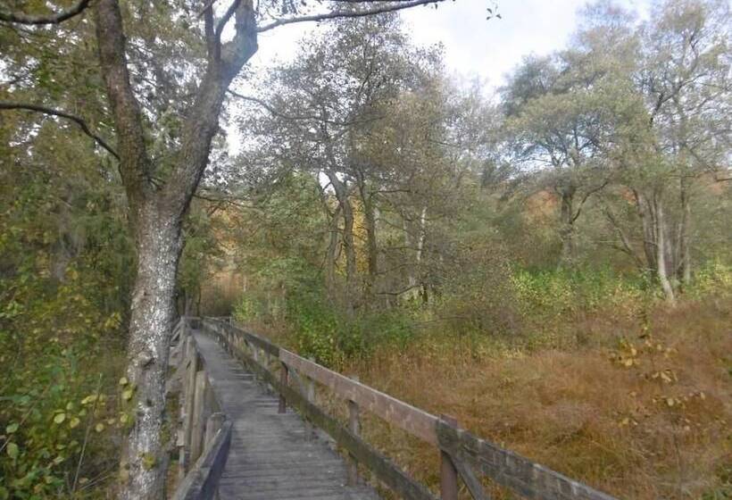 פנסיון Haus Hochwaldhöhe