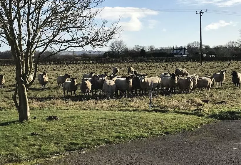 Setcops Farm Holiday Cottages