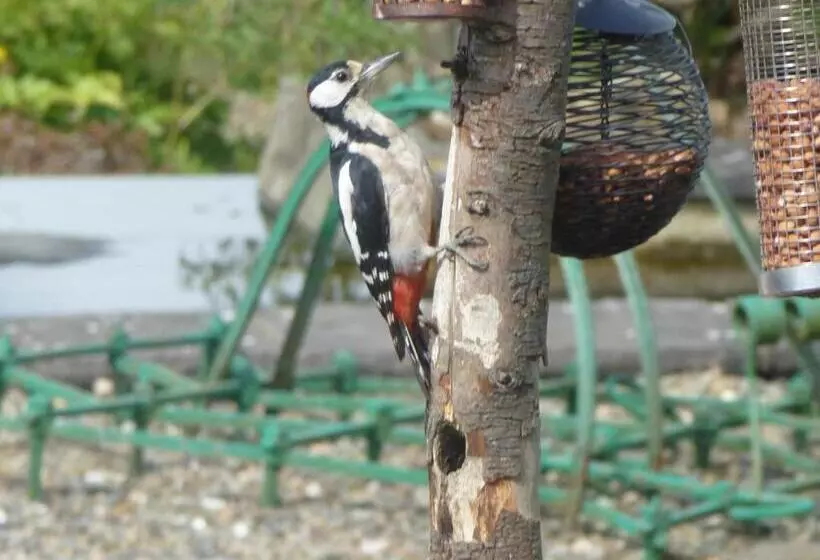 Ael Y Bryn Luxury B&b, North Pembrokeshire