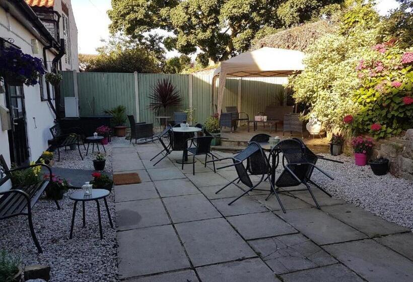 הוסטל Jolly Sailor