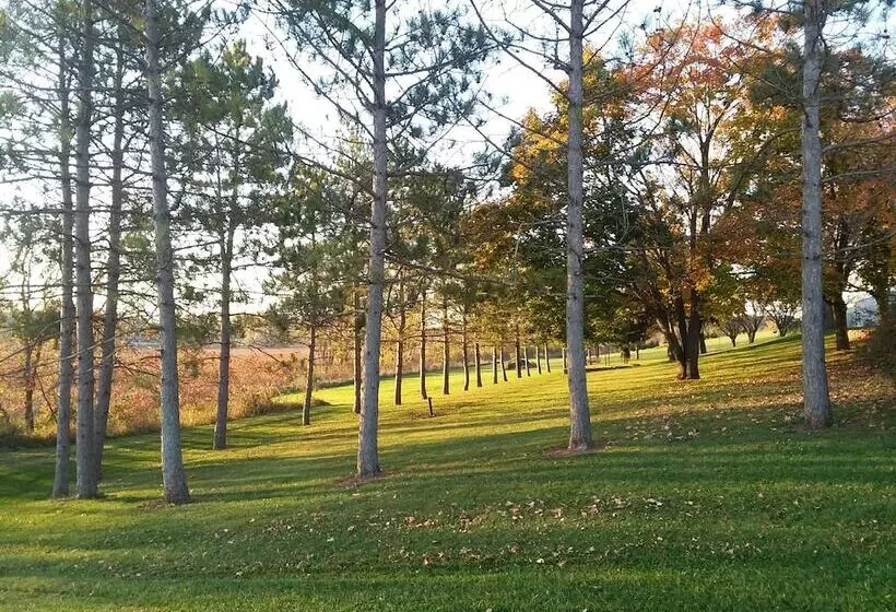 ベッドアンドブレックファースト Shane Acres Country Inn