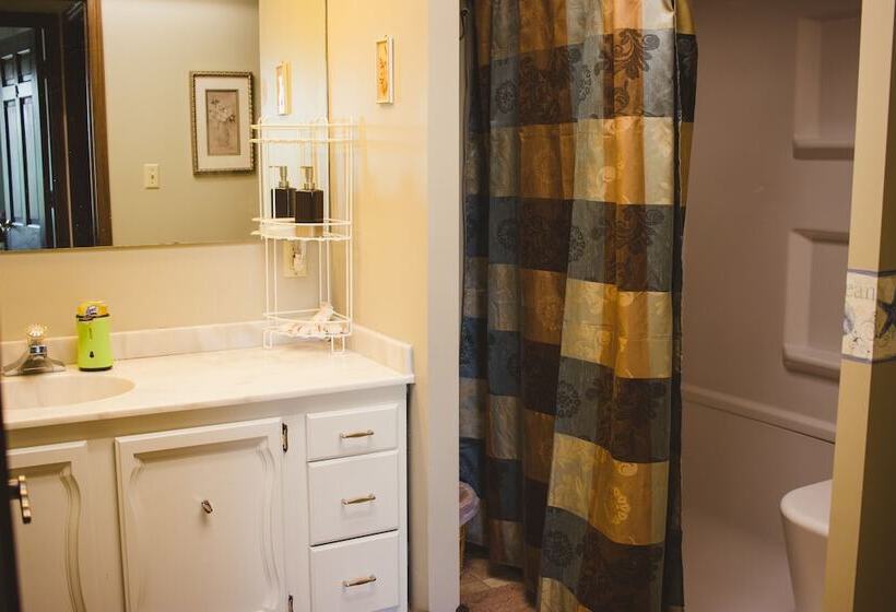 مبيت وإفطار Shane Acres Country Inn