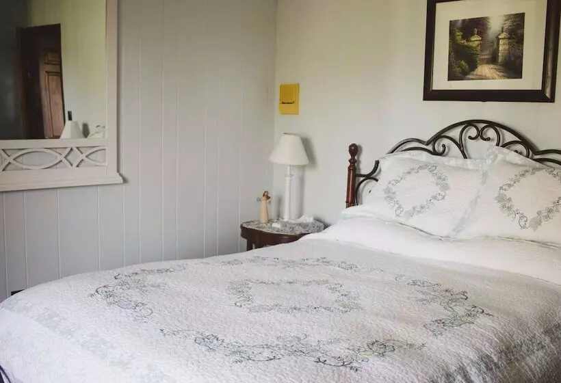 ベッドアンドブレックファースト Shane Acres Country Inn