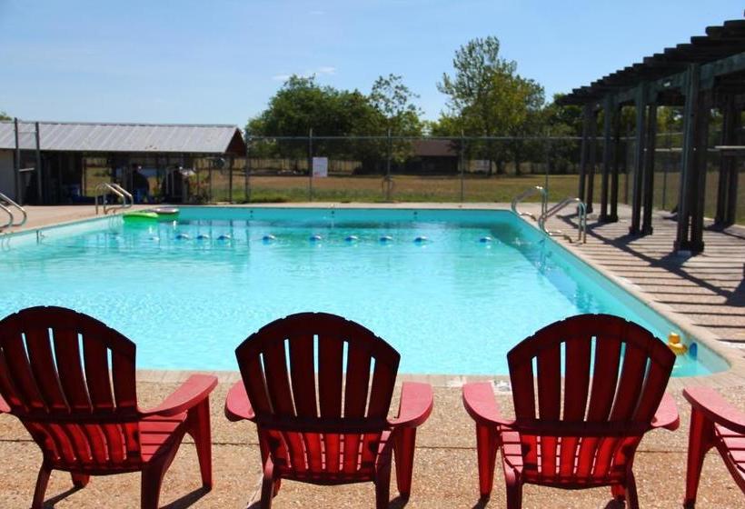 مبيت وإفطار Wild Arrow Ranch