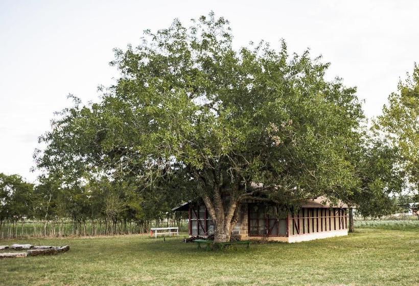 مبيت وإفطار Wild Arrow Ranch