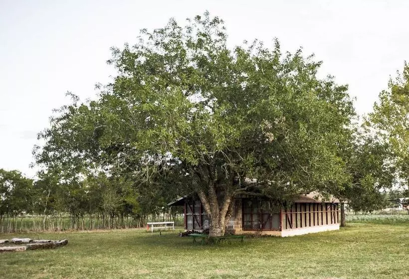 ベッドアンドブレックファースト Wild Arrow Ranch