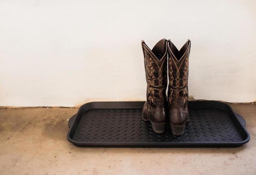 مبيت وإفطار Wild Arrow Ranch