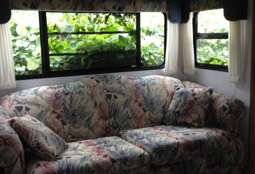 Circa 1894 B&b And Day Spa