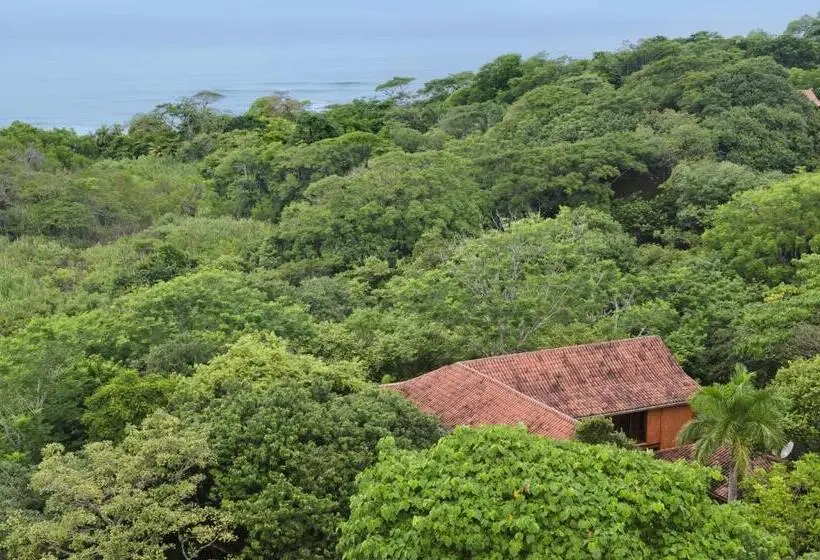 簡易ホテル Hacienda Barrigona