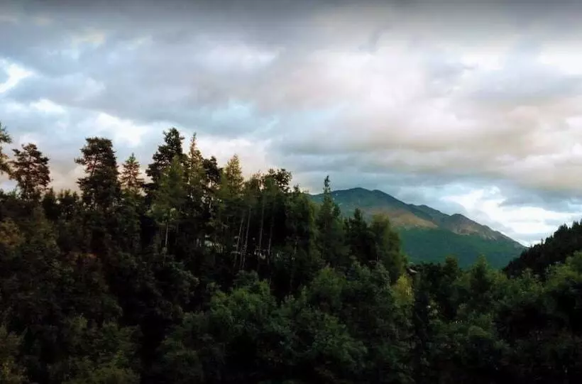 Hotelli Albergo Alpina