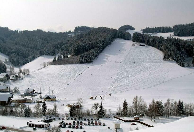 Пансион Gasthof Landhotel Hubmann