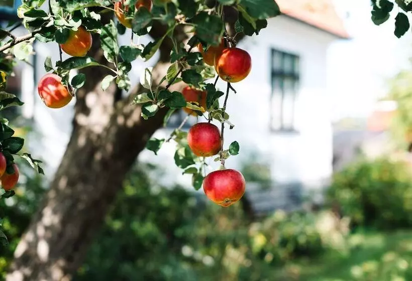 ペンション Urshult Hotell