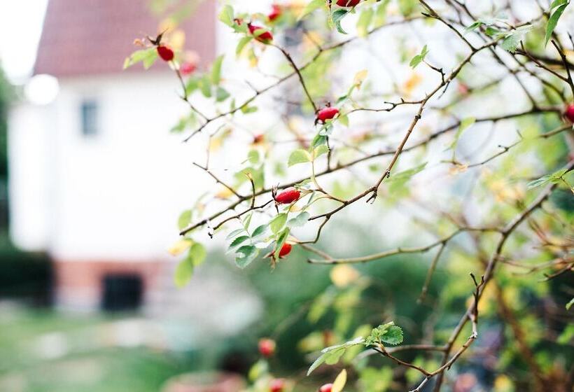 پانسیون Urshult Hotell