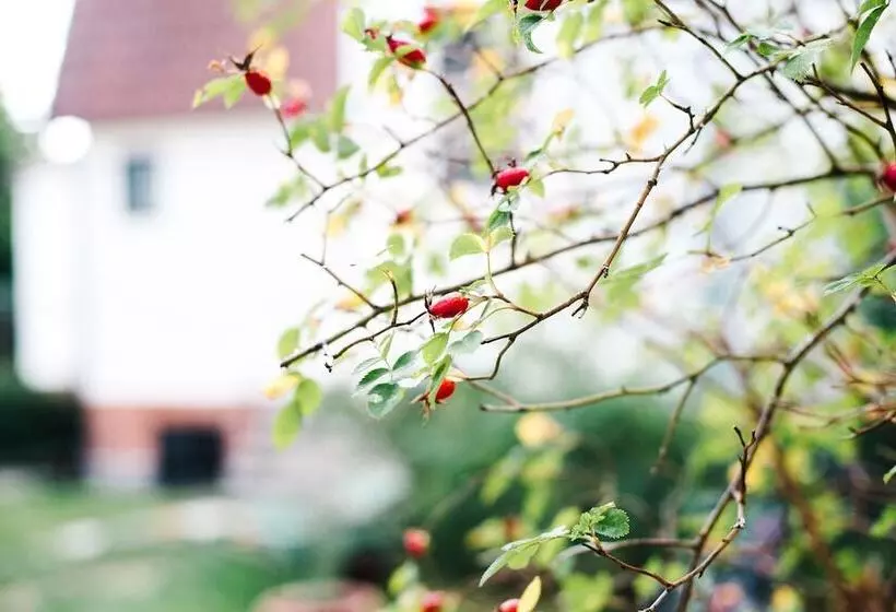 ペンション Urshult Hotell