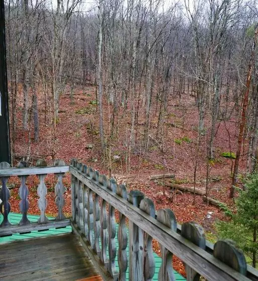 Lomakeskus Slide Mountain Forest House