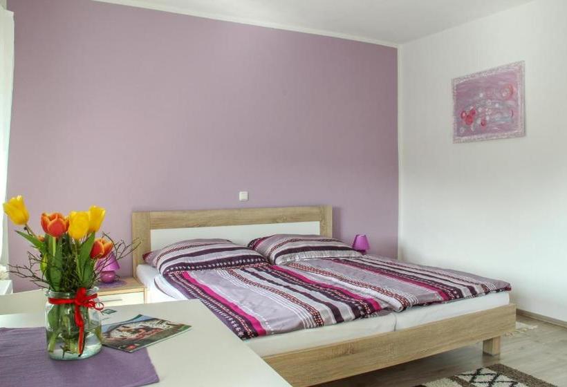 Общежитие Gasthof Franzosenhof