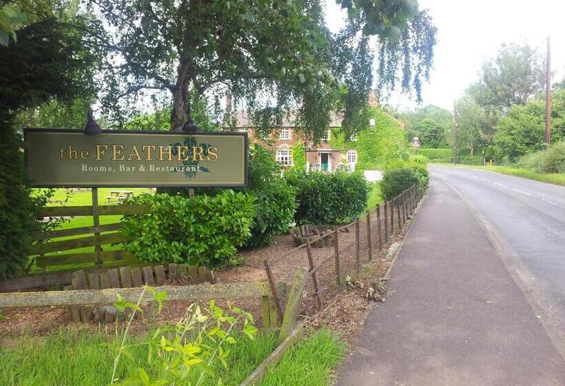 فندق صغير The Feathers
