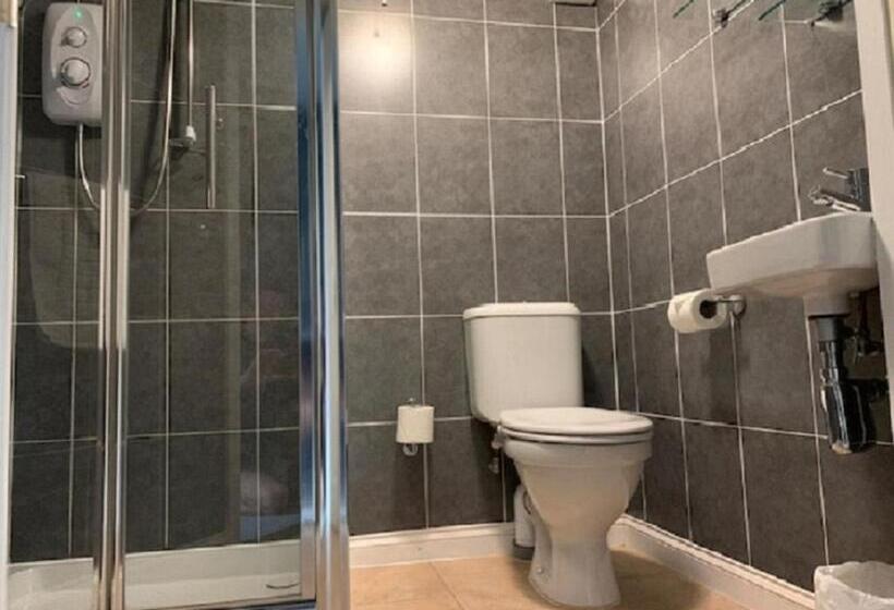 הוסטל The Silverton Inn