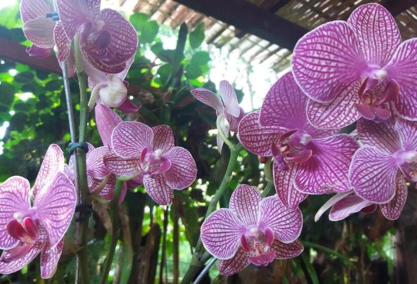 Art Hotel Cristal De Igatu