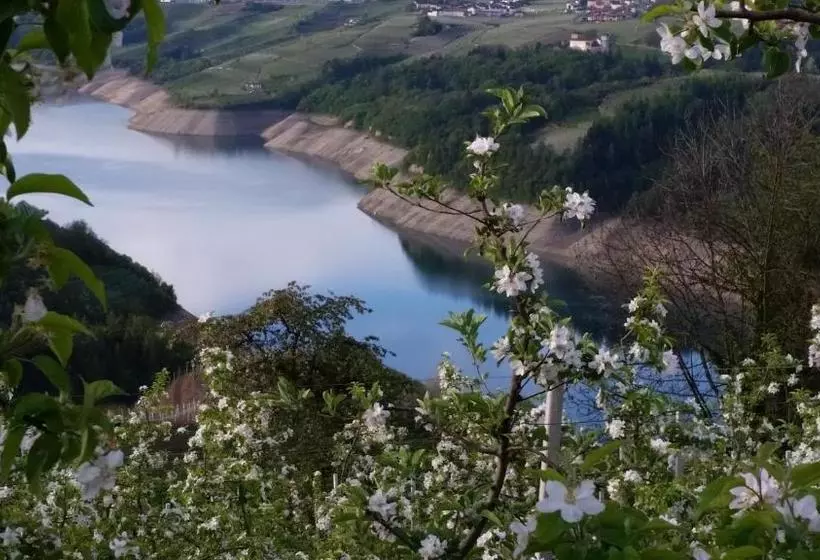 Aamiaismajoitus (B&B) Agritur Vista Lago