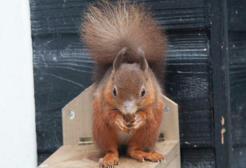 Bed and Breakfast Dunchraigaig House