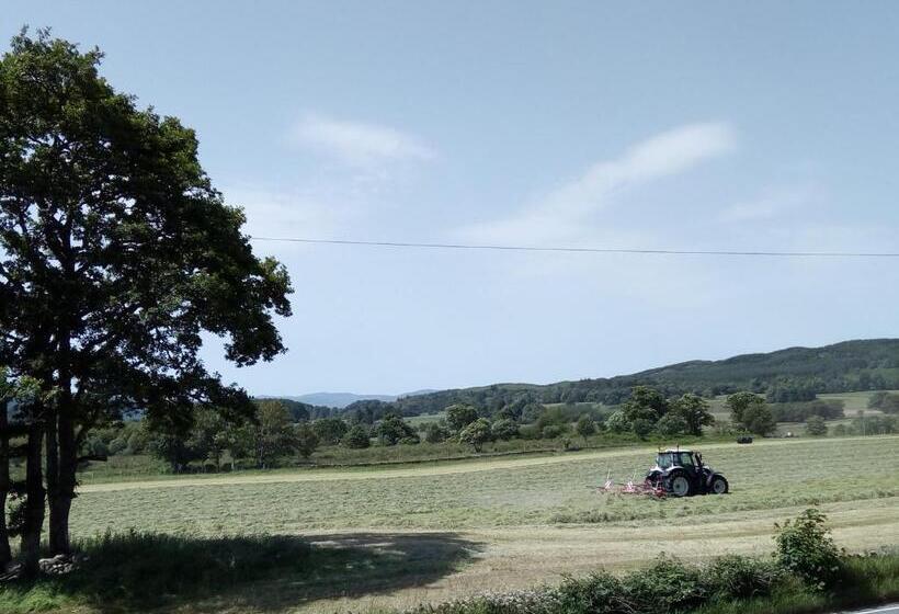 Bed and Breakfast Dunchraigaig House