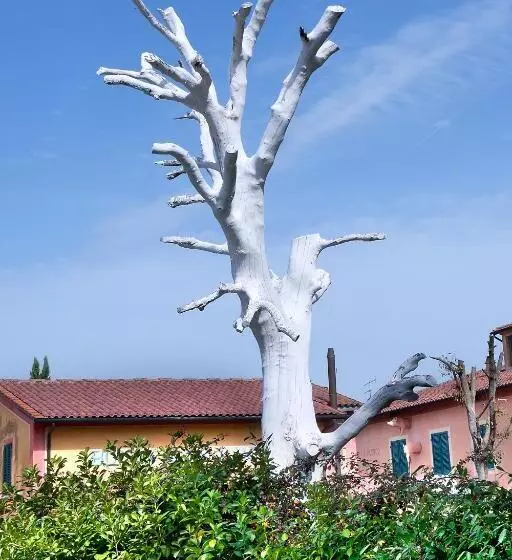 Aamiaismajoitus (B&B) Fattoria Santa Lucia Borgo Alla Cantina