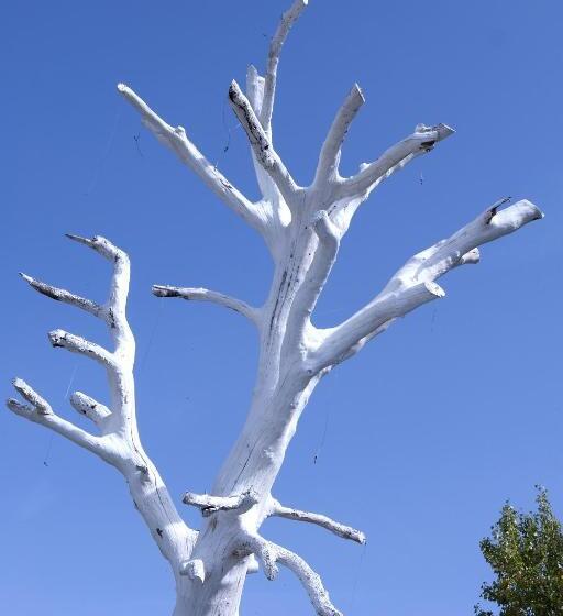 Bed and Breakfast Fattoria Santa Lucia Borgo Alla Cantina