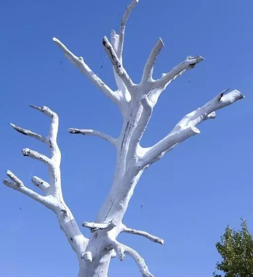 Aamiaismajoitus (B&B) Fattoria Santa Lucia Borgo Alla Cantina