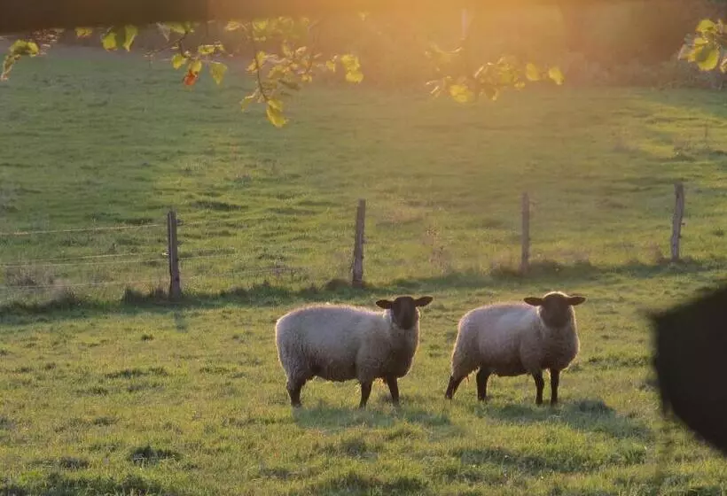 Aamiaismajoitus (B&B) La Blanchisserie