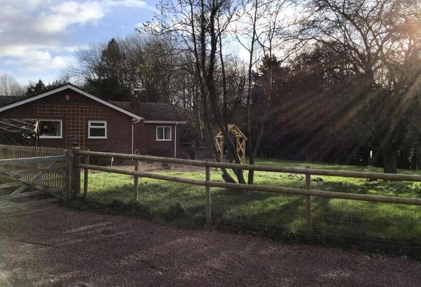 민박 Meerkat Manor