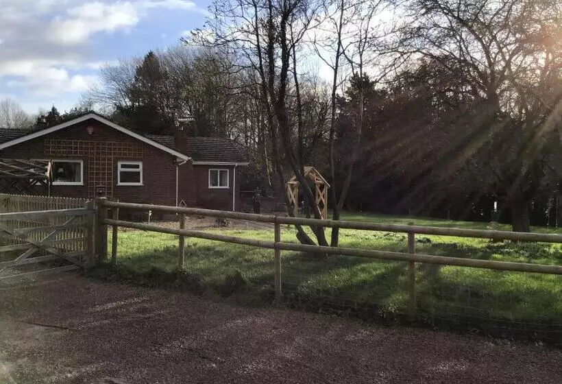 Aamiaismajoitus (B&B) Meerkat Manor