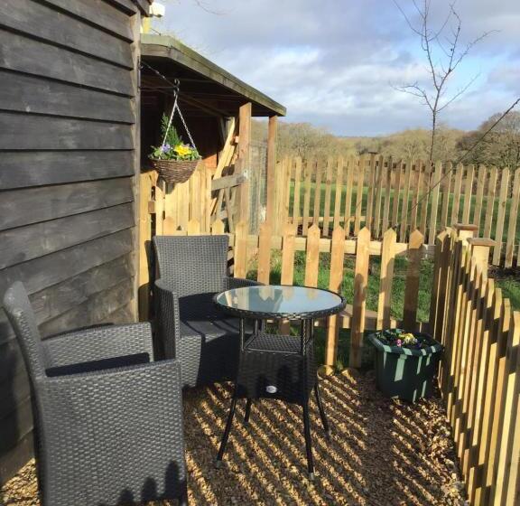 민박 Meerkat Manor