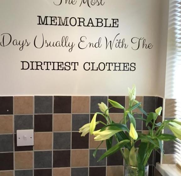 민박 Meerkat Manor