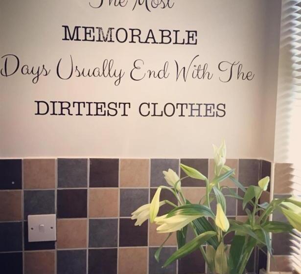 민박 Meerkat Manor