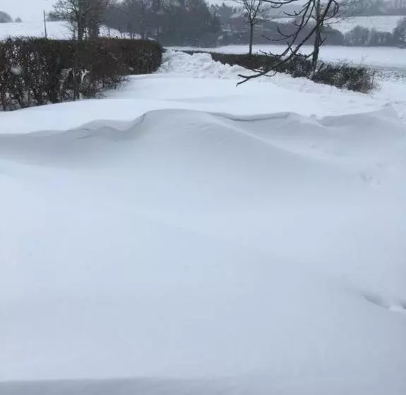 Aamiaismajoitus (B&B) Meerkat Manor