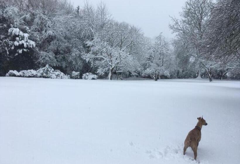민박 Meerkat Manor