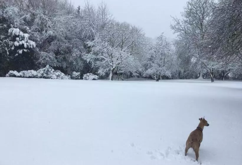 Aamiaismajoitus (B&B) Meerkat Manor