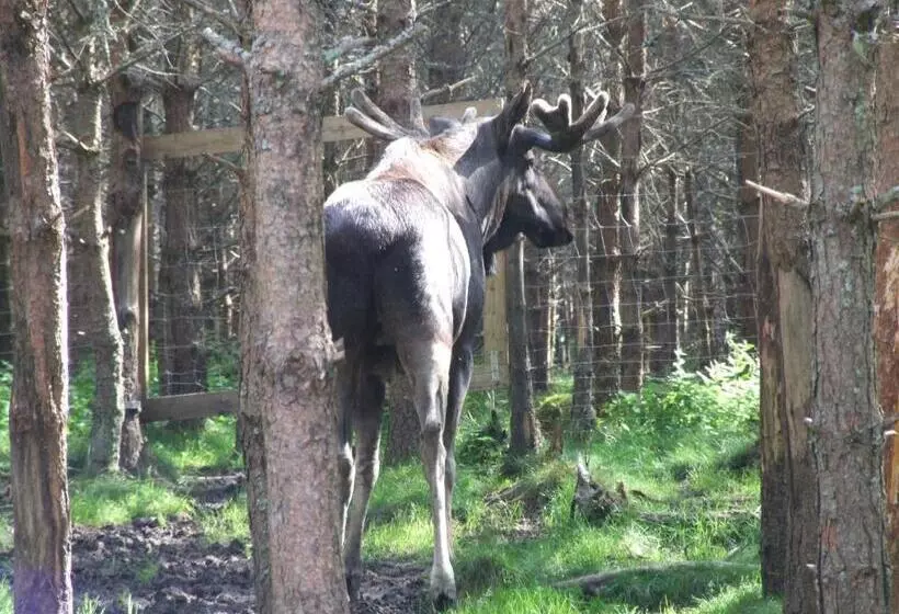 Aamiaismajoitus (B&B) Skålleruds Gård