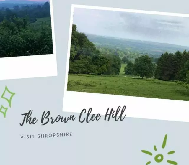 Aamiaismajoitus (B&B) The Boyne Arms